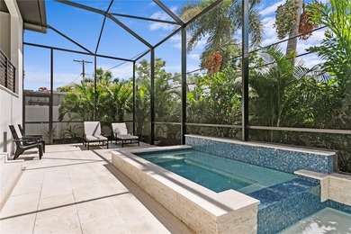 Located on spectacular Davis Islands, this newer construction - photo 37