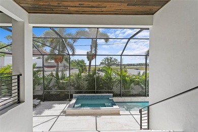 Located on spectacular Davis Islands, this newer construction - photo 38