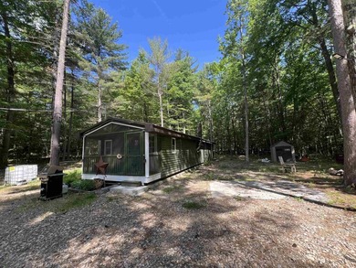 New in 2023 is this Adirondack camp located at 33 Dogwood Street - photo 38