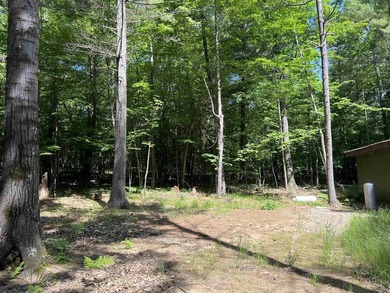 New in 2023 is this Adirondack camp located at 33 Dogwood Street - photo 39