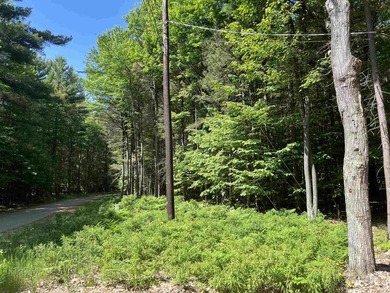 New in 2023 is this Adirondack camp located at 33 Dogwood Street - photo 41