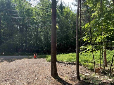 New in 2023 is this Adirondack camp located at 33 Dogwood Street - photo 43
