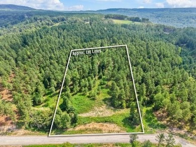 Nick-a-Jack Lake Acreage For Sale in Guild Tennessee