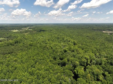 (private lake, pond, creek) Acreage For Sale in Saint Pauls North Carolina