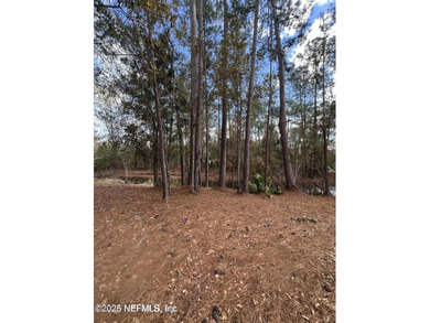Lake Sampson Lot For Sale in Starke Florida