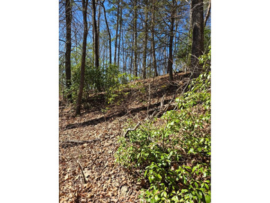 Lake Blue Ridge Acreage For Sale in Blue Ridge Georgia