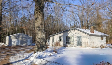 Anderson Lake Home Sale Pending in Suring Wisconsin