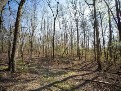 Welcome to an exceptional 42 acre opportunity to own land - photo 11