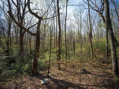 Welcome to an exceptional 42 acre opportunity to own land - photo 12