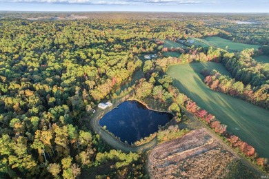 Nestled on 156.23 breathtaking acres in Coal City, this - photo 3