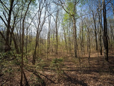 Welcome to an exceptional 42 acre opportunity to own land - photo 13