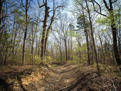 Welcome to an exceptional 42 acre opportunity to own land - photo 15