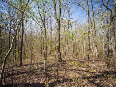 Welcome to an exceptional 42 acre opportunity to own land - photo 16