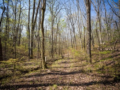 Welcome to an exceptional 42 acre opportunity to own land - photo 17