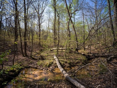 Welcome to an exceptional 42 acre opportunity to own land - photo 18