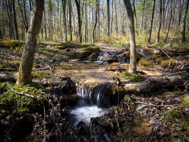 Welcome to an exceptional 42 acre opportunity to own land - photo 19