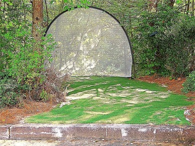 Gated & Fully Furnished 4-BR Contemporary Estate on Innsbrook - photo 20