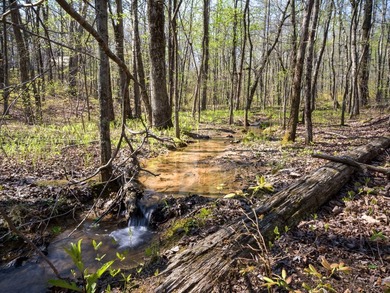 Welcome to an exceptional 42 acre opportunity to own land - photo 21