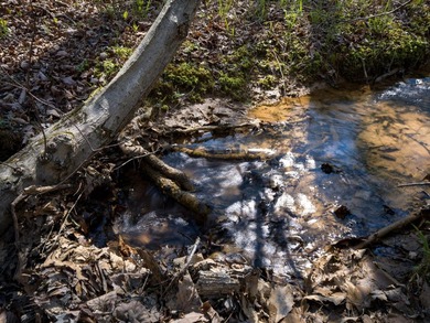 Welcome to an exceptional 42 acre opportunity to own land - photo 22