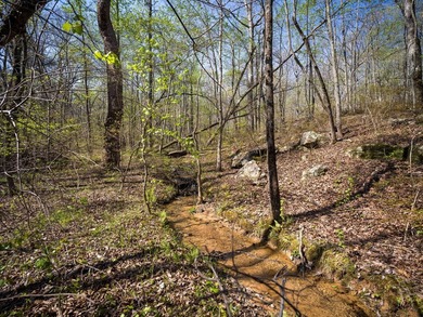 Welcome to an exceptional 42 acre opportunity to own land - photo 24