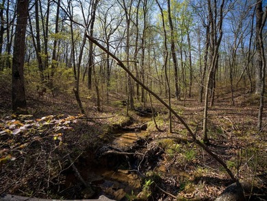 Welcome to an exceptional 42 acre opportunity to own land - photo 25