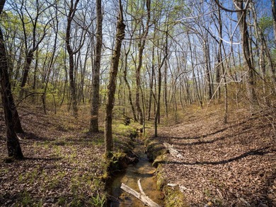 Welcome to an exceptional 42 acre opportunity to own land - photo 26