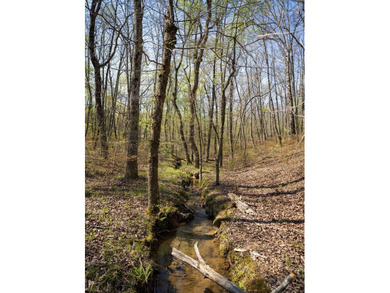 Welcome to an exceptional 42 acre opportunity to own land - photo 27