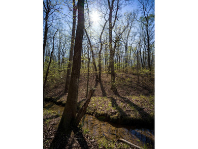 Welcome to an exceptional 42 acre opportunity to own land - photo 28