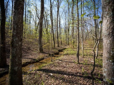 Welcome to an exceptional 42 acre opportunity to own land - photo 30