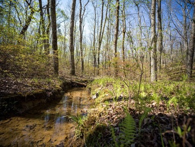 Welcome to an exceptional 42 acre opportunity to own land - photo 31