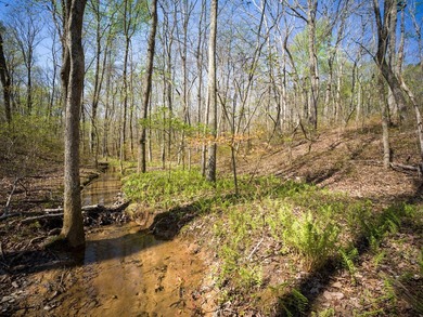 Welcome to an exceptional 42 acre opportunity to own land - photo 32