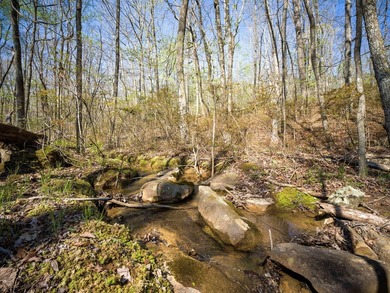 Welcome to an exceptional 42 acre opportunity to own land - photo 33