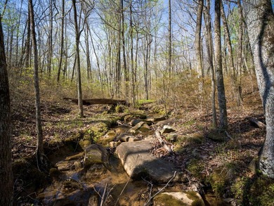 Welcome to an exceptional 42 acre opportunity to own land - photo 34