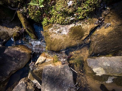 Welcome to an exceptional 42 acre opportunity to own land - photo 35