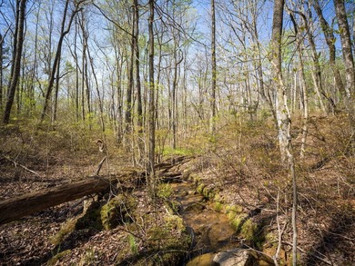 Welcome to an exceptional 42 acre opportunity to own land - photo 36