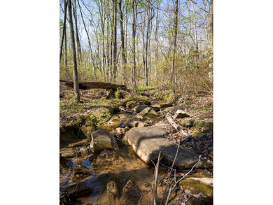 Welcome to an exceptional 42 acre opportunity to own land - photo 37