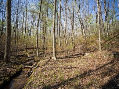 Welcome to an exceptional 42 acre opportunity to own land - photo 38