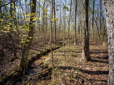 Welcome to an exceptional 42 acre opportunity to own land - photo 39