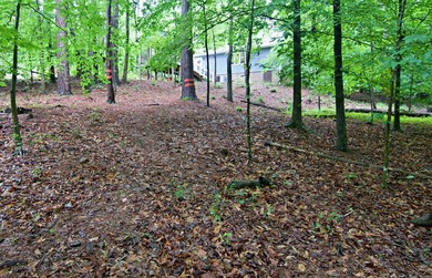 Are you seeking a move in ready 3 bedroom home tucked away in - photo 39