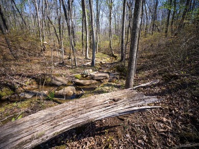 Welcome to an exceptional 42 acre opportunity to own land - photo 40