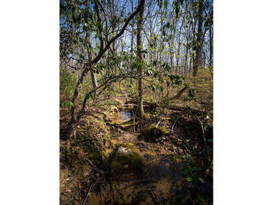 Welcome to an exceptional 42 acre opportunity to own land - photo 41