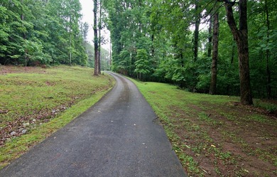 Are you seeking a move in ready 3 bedroom home tucked away in - photo 41