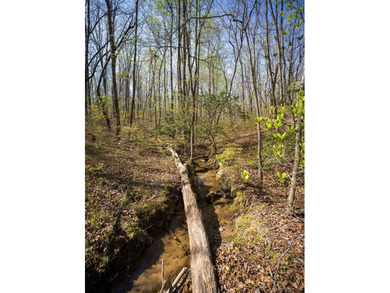 Welcome to an exceptional 42 acre opportunity to own land - photo 42