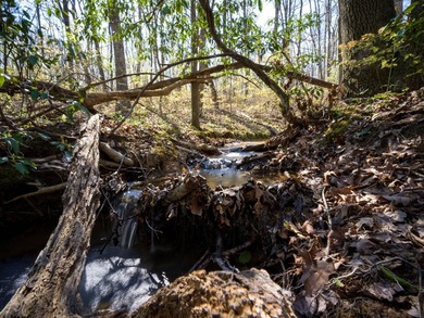 Welcome to an exceptional 42 acre opportunity to own land - photo 44