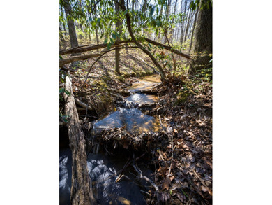Welcome to an exceptional 42 acre opportunity to own land - photo 46