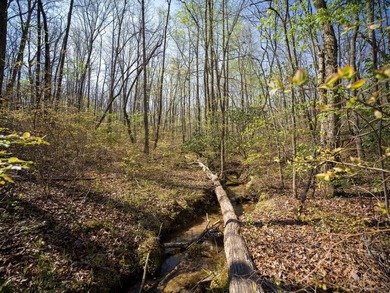 Welcome to an exceptional 42 acre opportunity to own land - photo 47