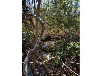 Welcome to an exceptional 42 acre opportunity to own land - photo 48