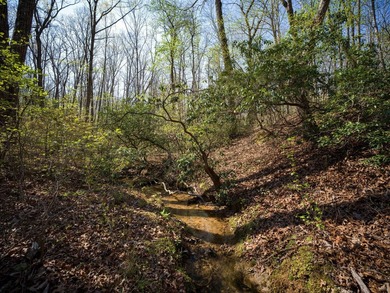 Welcome to an exceptional 42 acre opportunity to own land - photo 49