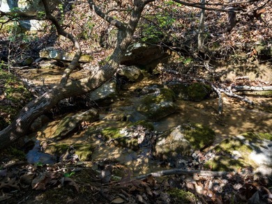 Welcome to an exceptional 42 acre opportunity to own land - photo 50