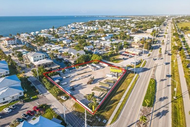 Commercial Vacant Land Opportunity - Prime Highway Frontage - photo 2